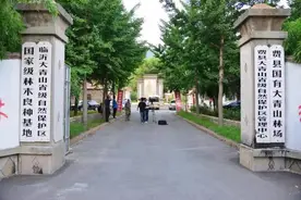 绿色林场的红色印迹图片