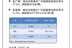 雨后出现的大蜗牛千万别碰图片