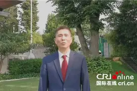 中国驻伊斯坦布尔总领馆举行线上招待会庆祝中国共产党成立一百周年图片