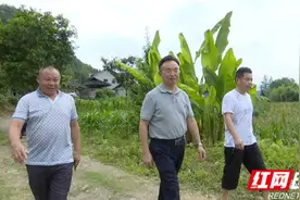 桑植县：杨绍武到龙潭坪镇走访慰问老党员 讲专题党课图片