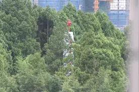 百年画卷｜戍边烈士陈祥榕事迹激励青年一代图片