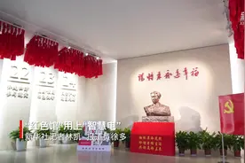 “红色馆”用上“智慧电”视频封面