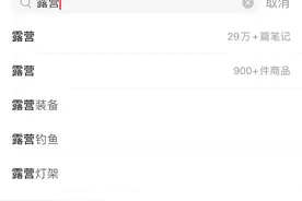 精致露营风靡：社交媒体和消费主义如何塑造流行？图片