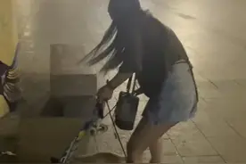 福建小狗当街抢走路人滑板，玩得不肯撒手，女主人崩溃大喊：还给别人嘛图片