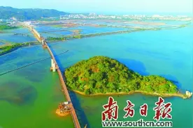 中铁十四局汕汕铁路站前六标 让党旗飘扬在项目攻坚一线图片