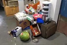 杭州猕猴闯民宅 搜捕单位：搜捕难度较大，希望将其赶回山里图片