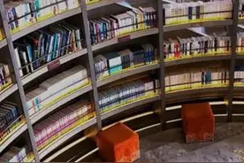 了不起的它们 | 一本小学生手抄课本图片