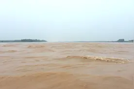 波澜壮阔！东营黄河口浪涛滚滚奔流入海视频封面