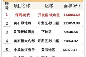权威数据出台，黄石保利时代再夺上半年全市楼盘销冠图片