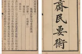 酒糟，夏日凉菜之灵魂调料图片