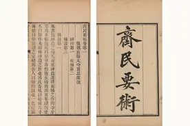 酒糟，夏日凉菜之灵魂调料图片