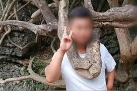头伸树杈拍照被卡住 黄果树景区称发现会予以制止 男子回应：出于好奇图片