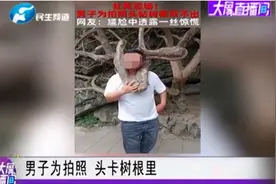 男子头伸进树杈拍照被卡住，当事人回应：出于好奇图片
