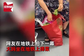 大妈地铁上提大袋子择菜，一个细节获点赞！网友调侃：能看到终点站图片