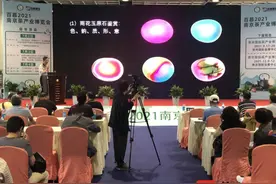 雨花石江苏省地方标准公布，首次制定“雨花玉”的鉴定方法图片