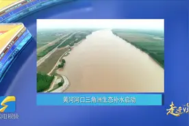 走进深蓝｜黄河河口三角洲生态补水启动图片