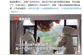 消防员处置巨型蜂窝，蜂蜜哗哗流下 网友：心疼蜂蜜图片