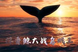 浙江自然博物院出品4D电影《抹香鲸大战乌贼王》与大家见面图片