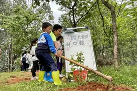 云南野生动物园为长颈鹿、象龟种“口粮”开启保护野生动物新模式图片