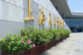 花能比脸还大？能！快来松江这里围观图片