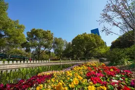 不断迭代徐家汇，中环绿廊生态新！城市景观更精致，美丽徐汇谱新篇图片