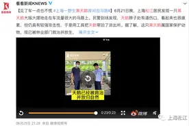 鹅鹅鹅鹅鹅鹅鹅鹅！图片