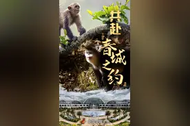 共赴“春城之约”——COP15将描绘“人与自然和谐共生”新图景图片