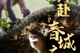 共赴“春城之约”——COP15将描绘“人与自然和谐共生”新图景图片