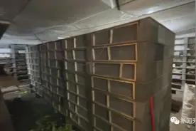 乐山一对90后小夫妻，家中养了上万只蜗牛图片
