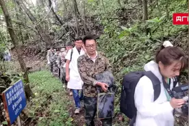 保护生物多样性 | 探寻菲氏叶猴的生存奥秘图片