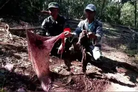 “第一次遇到象群，人象都拔腿就跑”图片