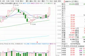 太猛了！稀土龙头涨停板惊现12万手大单扫货，再来40万手封单都没顶住，吃货OR诱多？图片