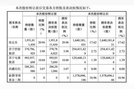 深度｜苏宁易购新战投背后：江苏国资联手阿里小米等入局 十年转型往何处去？图片