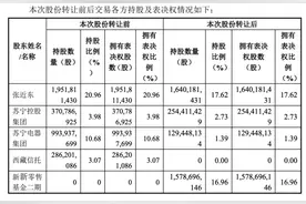 深圳国资退出，江苏国资阿里小米等入股苏宁易购图片