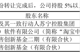 「深度」苏宁十年转型路：从家电零售“霸主”到卖股份求生图片