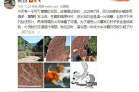 脚印外形像金鱼丨古蔺发现白垩纪肉食性恐龙足迹图片