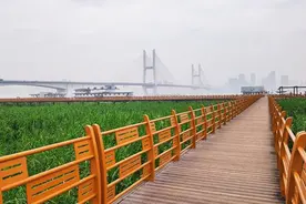 梅雨暂歇，江城湿热升级图片