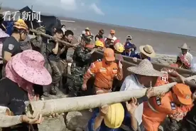 3头死亡！12头鲸鱼搁浅海滩 救援人员合力抬上岸图片