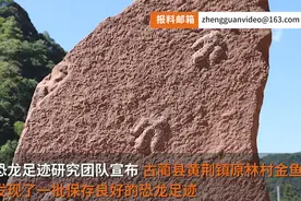 勇敢龙龙胖胖脚趾 四川再发现肉食性恐龙足迹图片