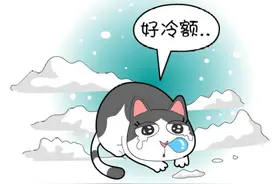 如何对待流浪动物？上海这个“拆蛋部队”引围观图片