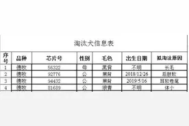 10:35分！中国刑警学院淘汰犬拍出15.1万高价图片