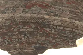 济南东郊发现12座元代晚期家族墓地 属山东地区已知元代砖雕壁画墓最大图片