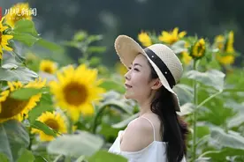 视频︱解锁夏日专属浪漫 打卡金色向日葵花海图片