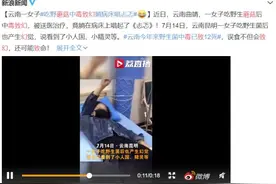 我没有去云南吃野蘑菇，为什么见到了小人……图片