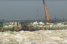 青岛遭浒苔侵袭，专家：重创当地渔业、旅游业和生态环境视频封面