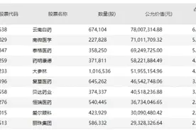 中银基金旗下部分产品二季报出炉，个别债基标的受监管处罚，刘潇大幅加仓云南白药、丽珠集团、大参林图片