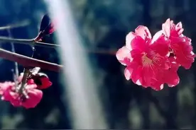 德生随笔•自然让我顿悟的瞬间图片