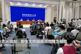 生态环境部：野生大熊猫由濒危降为易危视频封面