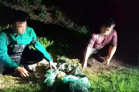 定远：深夜盗窃村民养殖的小龙虾 这两人被拘图片