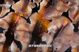 央视《味道》播出“我的家乡菜淮安篇”图片